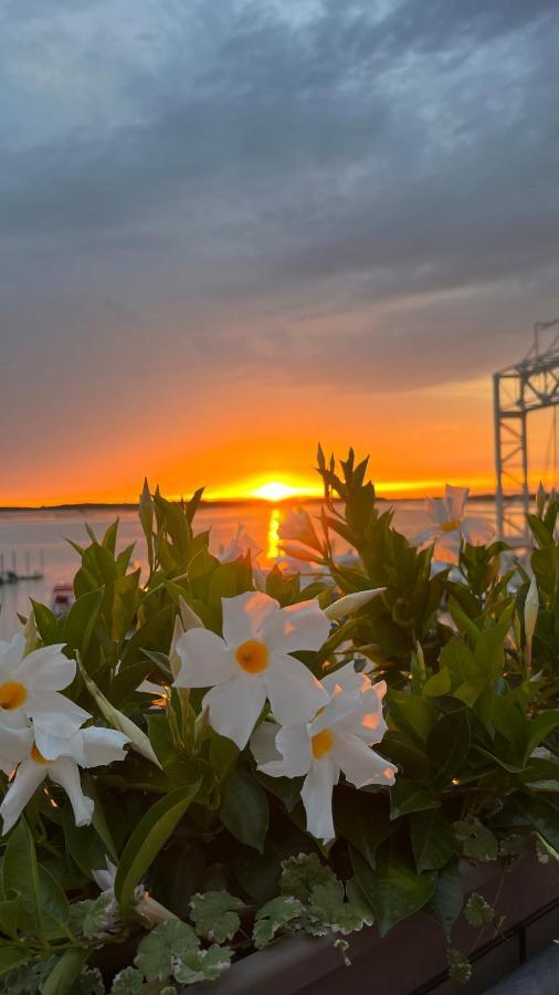 Twin Pine Trees Flats, Near Beach บิบิโอเน ภายนอก รูปภาพ